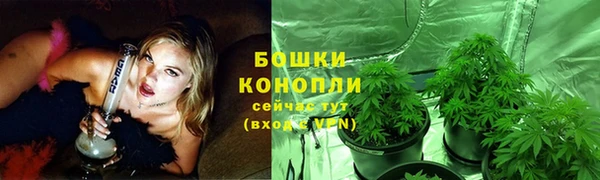 соль курить ск Бородино