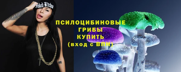 стаф Бронницы