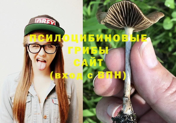 соль курить ск Бородино