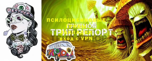 стаф Бронницы
