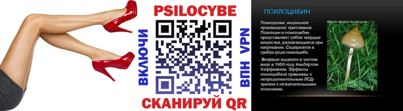 Галлюциногенные грибы Psilocybine cubensis  Ковров 